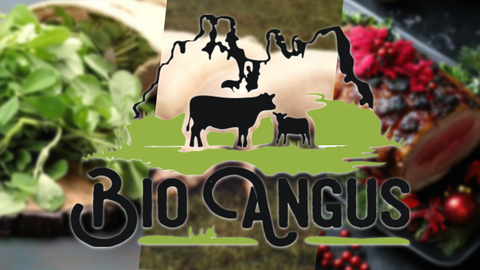 Главна снимка на блог - лого BioAngus - вкусът на коледа, както от едно време