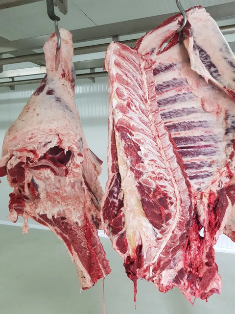 Четвъртини от Блек Ангъс трупно телешко месо, прясно на едро на топ цена от фермата на Био Ангус, Black angus